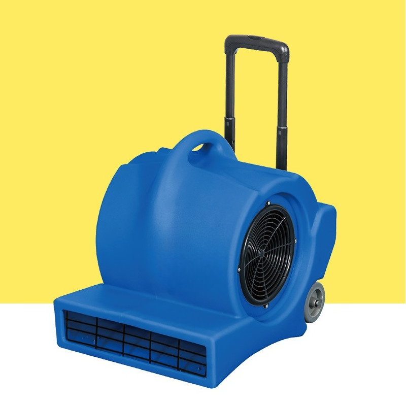 Power Tools Mall - Asciugatore per tappeti e pavimenti mobile,