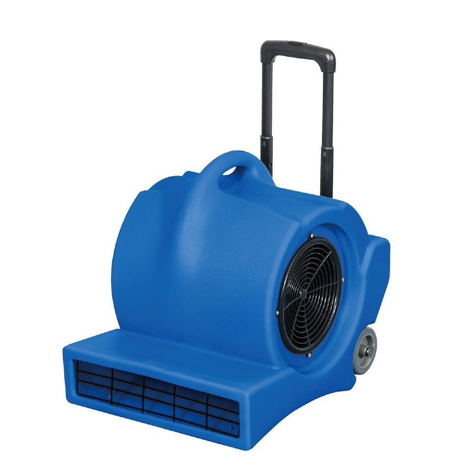 Asciugatore per tappeti e pavi - Power Tools Mall recensione e prezzo